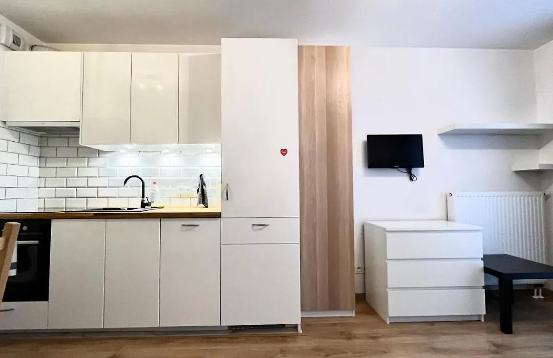 Downtown Apartment 2-1